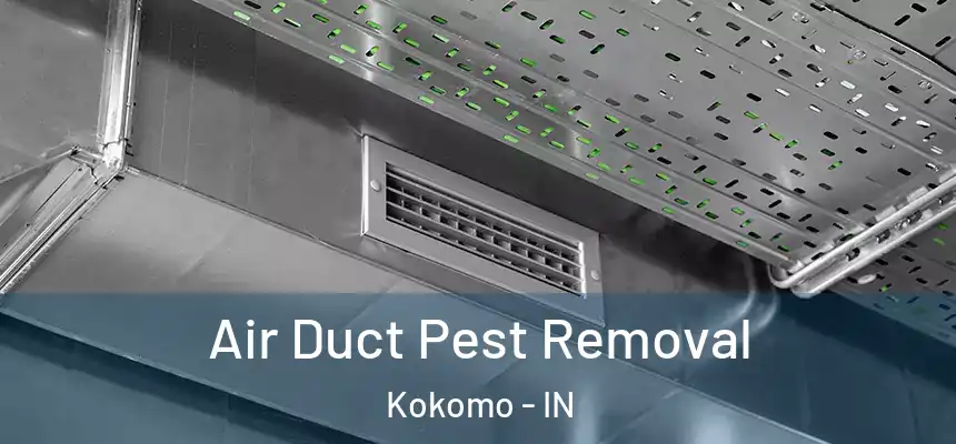  Air Duct Pest Removal Kokomo - IN