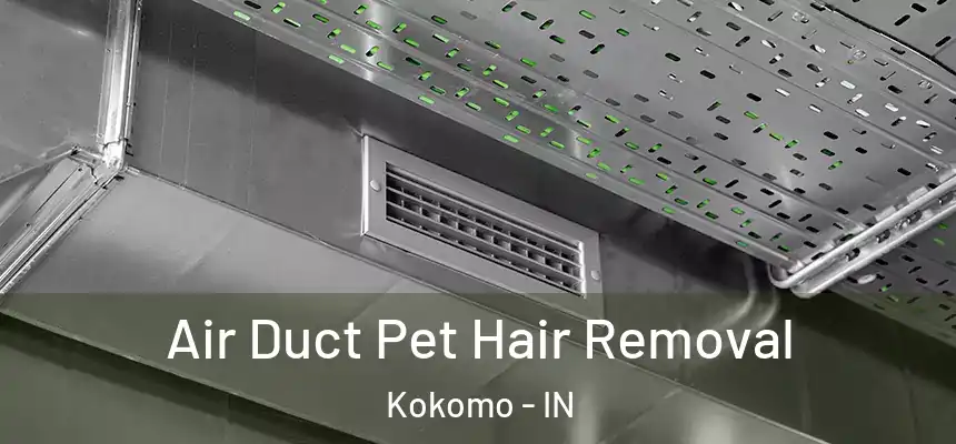 Air Duct Pet Hair Removal Kokomo - IN