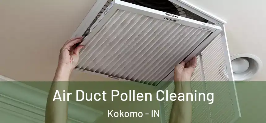  Air Duct Pollen Cleaning Kokomo - IN