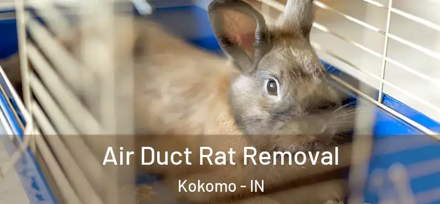 Air Duct Rat Removal Kokomo - IN