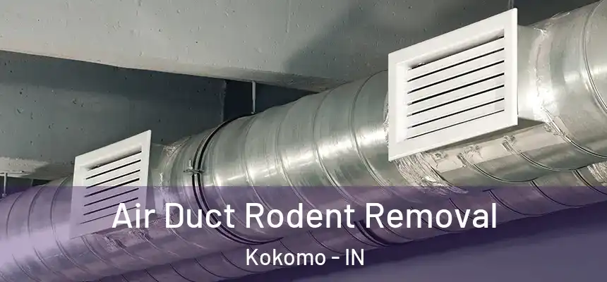  Air Duct Rodent Removal Kokomo - IN