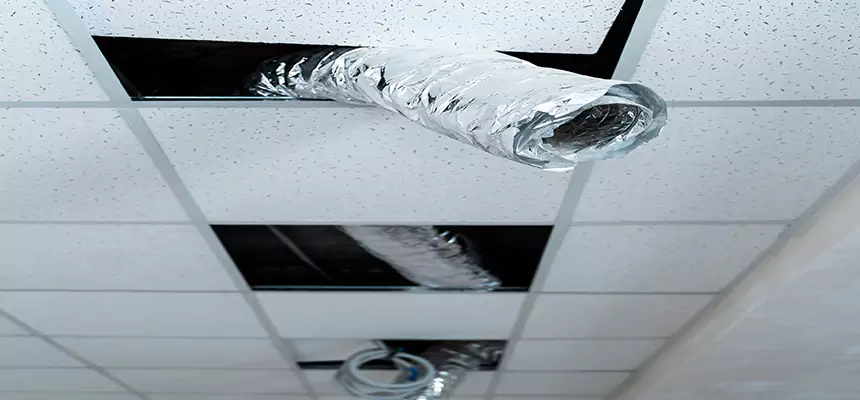 Our Air Duct Pet Hair Removal Services in Kokomo, IN