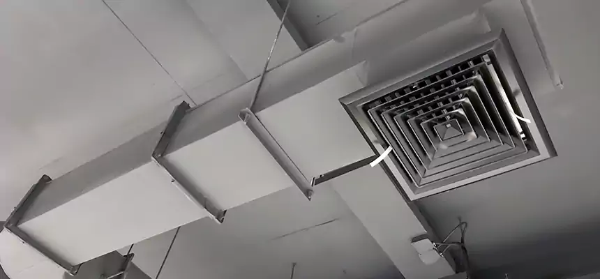 Our Pest Removal From Ducts Services in Kokomo, IN