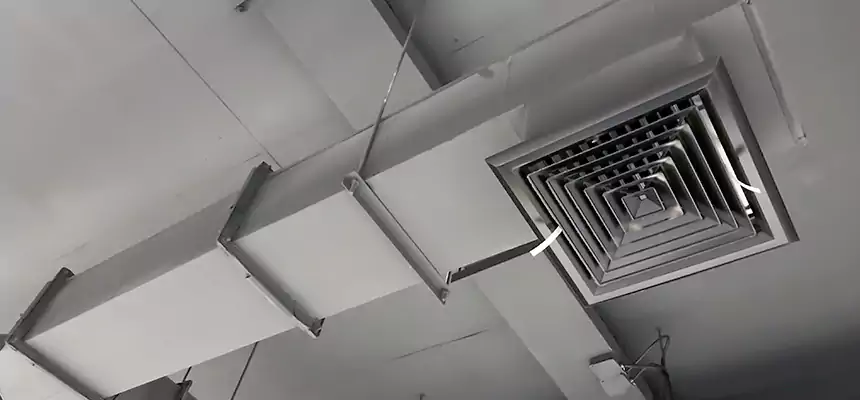 Our Rodent Droppings In Vents Services in Kokomo, IN