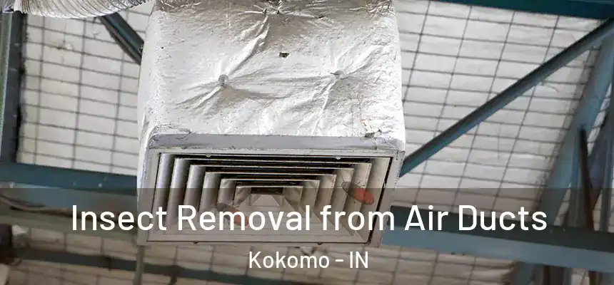  Insect Removal from Air Ducts Kokomo - IN