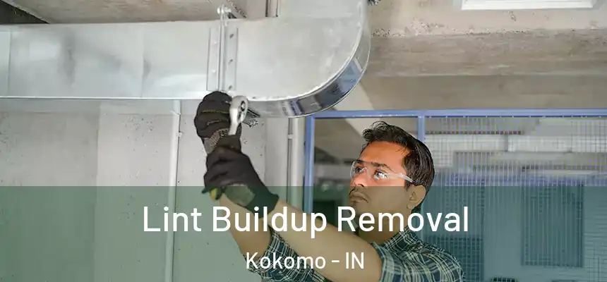 Lint Buildup Removal Kokomo - IN