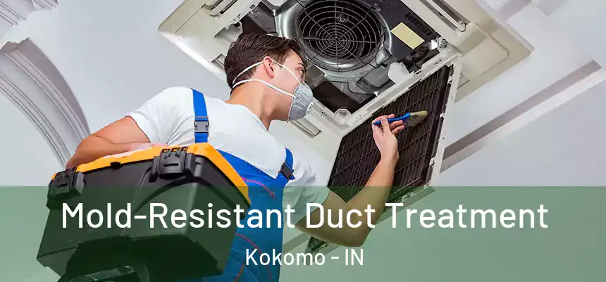  Mold-Resistant Duct Treatment Kokomo - IN