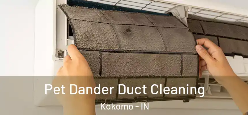  Pet Dander Duct Cleaning Kokomo - IN
