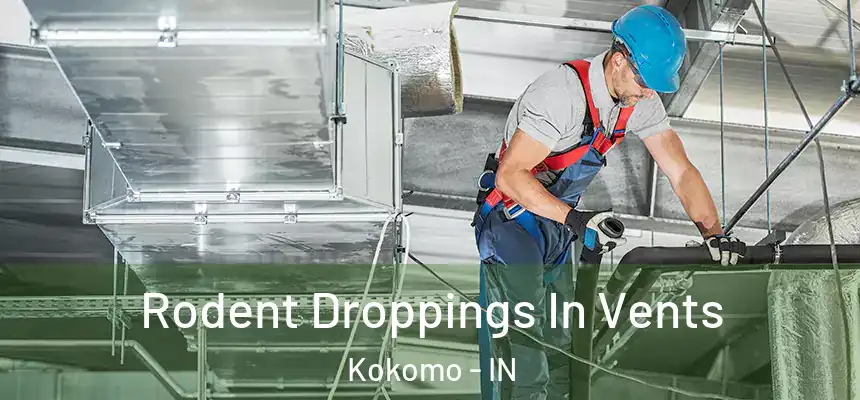 Rodent Droppings In Vents Kokomo - IN