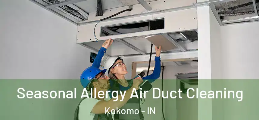 Seasonal Allergy Air Duct Cleaning Kokomo - IN