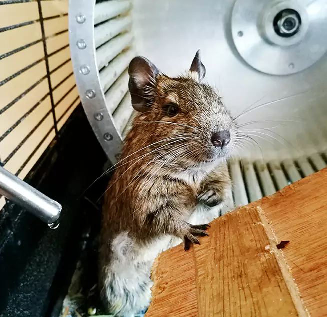 Why Homeowners & Businesses Trust Us Kokomo, IN?