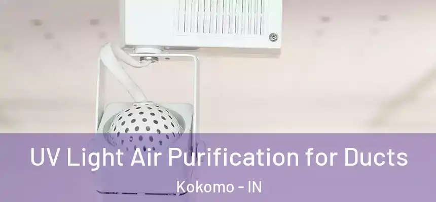  UV Light Air Purification for Ducts Kokomo - IN